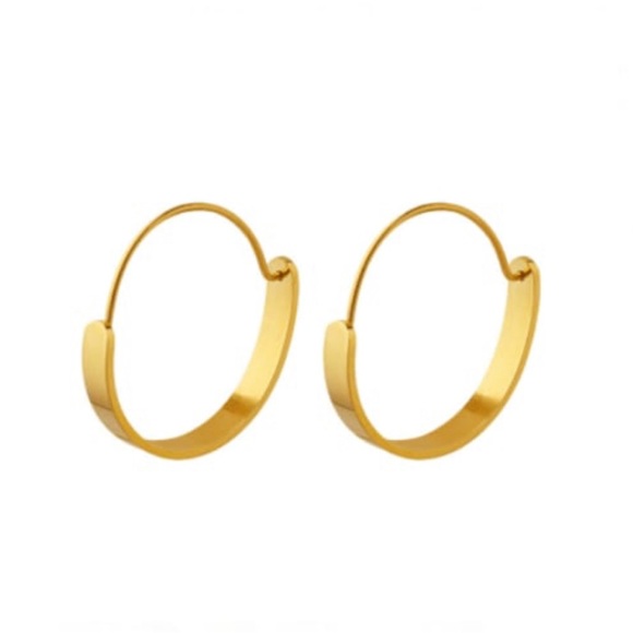 Jewelry - Hooked Up earring
